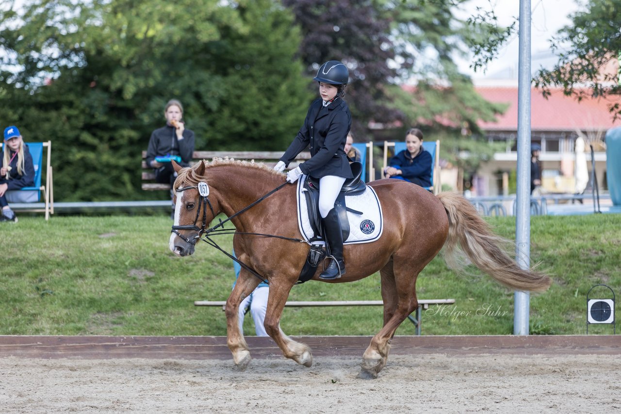 Bild 79 - Pony Akademie Turnier